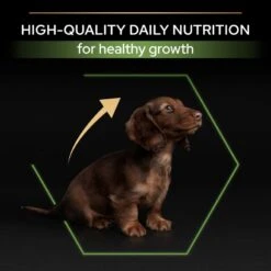 PRO PLAN Small & Mini Puppy Dry Dog Food Healthy Start Rich In Chicken - 3kg By Pro Plan -Pattes Douces Store Pro Plan Small Mini Rich In Chicken Dry Puppy Food 3kg 7