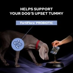 Pro Plan Veterinary Diet FortiFlora Canine Probiotic - 30 X 1g By Pro Plan Veterinary Diet -Pattes Douces Store Purina Veterinary Diet Canine Fortiflora Dog Supplement 30x1G 8