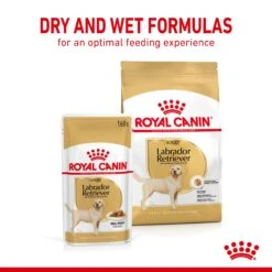 Royal Canin Adult Labrador Retriever In Gravy Wet Dog Food Pouches -10 X 140g By Royal Canin -Pattes Douces Store Royal Canin Adult Labrador Retriever Wet Dog Food Pouches 12 x 85g 5