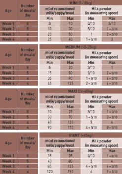 Royal Canin Baby Dog Milk Puppy Food - 2kg By Royal Canin -Pattes Douces Store Royal Canin Baby Dog Milk 2kg 4