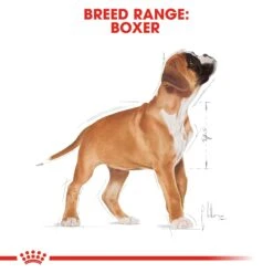 Royal Canin Puppy Boxer Dry Dog Food - 12kg By Royal Canin 14 Royal Canin Puppy Boxer Dry Dog Food - 12kg By Royal Canin -Pattes Douces Store Royal Canin Boxer Junior Dry Dog Food 12kg 5