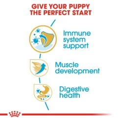 Royal Canin Canine Puppy Boxer Dry Dog Food - 3kg By Royal Canin 14 Royal Canin Canine Puppy Boxer Dry Dog Food - 3kg By Royal Canin -Pattes Douces Store Royal Canin Boxer Puppy Dry Dog Food 3kg 5