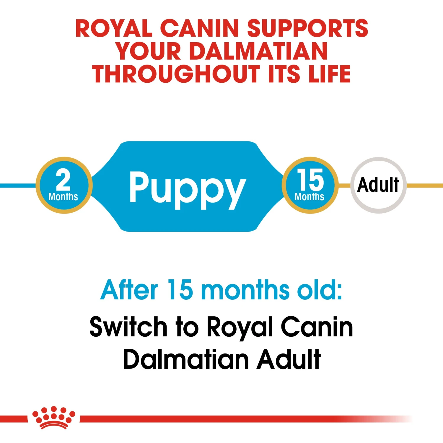 Royal Canin Dalmatian Puppy Dry Dog Food - 12kg By Royal Canin 3 Royal Canin Dalmatian Puppy Dry Dog Food - 12kg By Royal Canin - Image 3