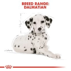 Royal Canin Dalmatian Puppy Dry Dog Food - 12kg By Royal Canin 14 Royal Canin Dalmatian Puppy Dry Dog Food - 12kg By Royal Canin -Pattes Douces Store Royal Canin Canine Junior Dalmatian Dry Dog Food 12kg 5
