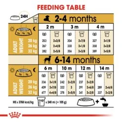 Royal Canin Dalmatian Puppy Dry Dog Food - 12kg By Royal Canin 15 Royal Canin Dalmatian Puppy Dry Dog Food - 12kg By Royal Canin -Pattes Douces Store Royal Canin Canine Junior Dalmatian Dry Dog Food 12kg 6