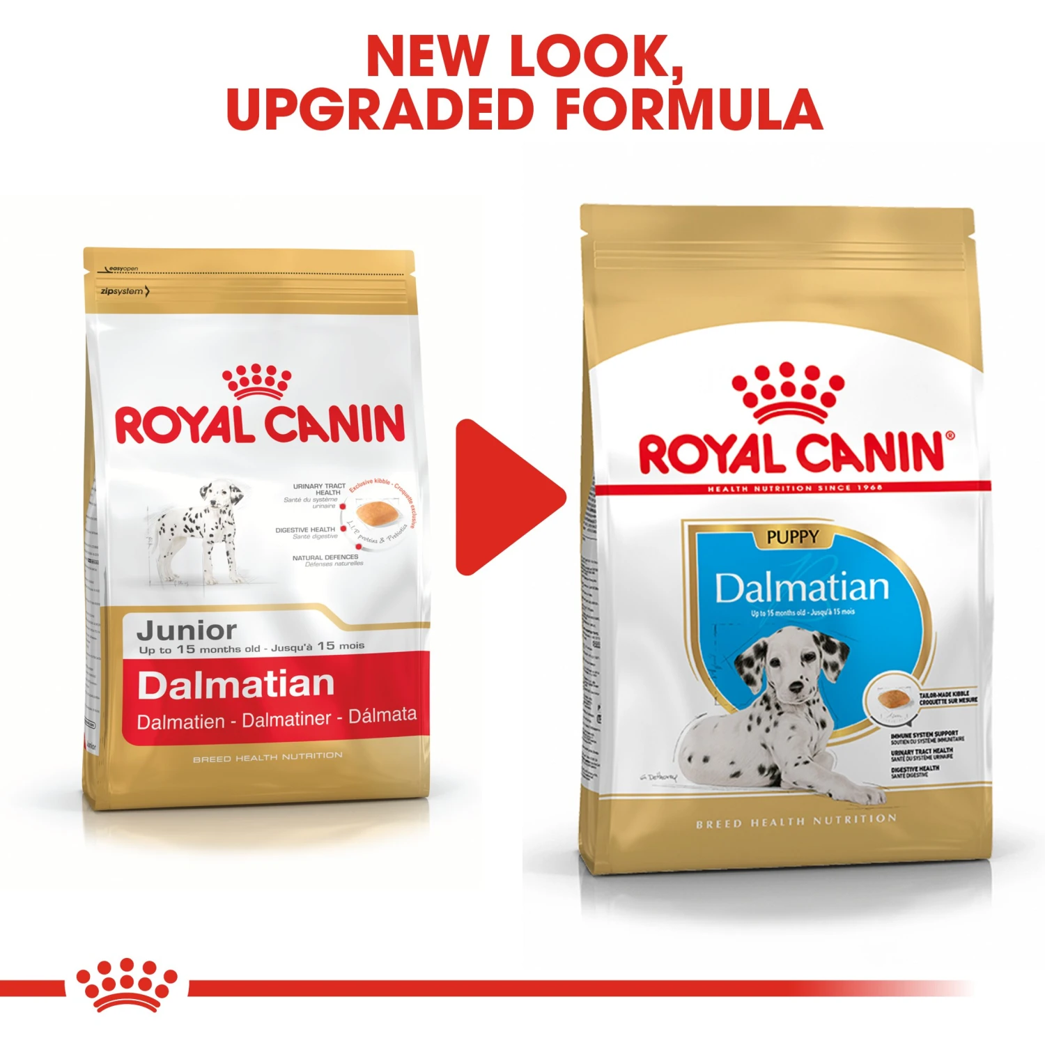 Royal Canin Dalmatian Puppy Dry Dog Food - 12kg By Royal Canin 8 Royal Canin Dalmatian Puppy Dry Dog Food - 12kg By Royal Canin - Image 8