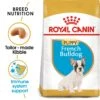 Royal Canin Puppy French Bulldog Dry Dog Food - 10kg By Royal Canin