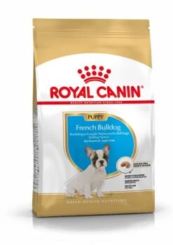 Pattes Douces Store -Pattes Douces Store Royal Canin Canine Junior French Bulldog Dry Dog Food 10kg 10