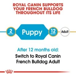 Royal Canin Puppy French Bulldog Dry Dog Food - 10kg By Royal Canin -Pattes Douces Store Royal Canin Canine Junior French Bulldog Dry Dog Food 10kg 2