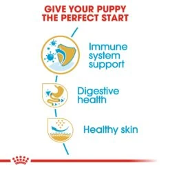Royal Canin Puppy French Bulldog Dry Dog Food - 10kg By Royal Canin -Pattes Douces Store Royal Canin Canine Junior French Bulldog Dry Dog Food 10kg 4