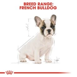 Royal Canin Puppy French Bulldog Dry Dog Food - 10kg By Royal Canin -Pattes Douces Store Royal Canin Canine Junior French Bulldog Dry Dog Food 10kg 5