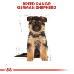 Royal Canin German Shepherd Puppy Dry Dog Food - 3kg By Royal Canin -Pattes Douces Store Royal Canin Canine Junior German Shepherd Dry Dog Food 3kg 5