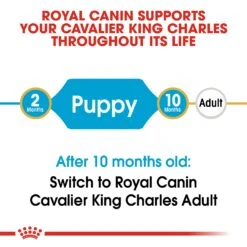 Royal Canin Puppy Cavalier King Charles Dry Dog Food - 1.5kg By Royal Canin -Pattes Douces Store Royal Canin Cavalier King Charles Junior Dry Dog Food 1 5kg 2