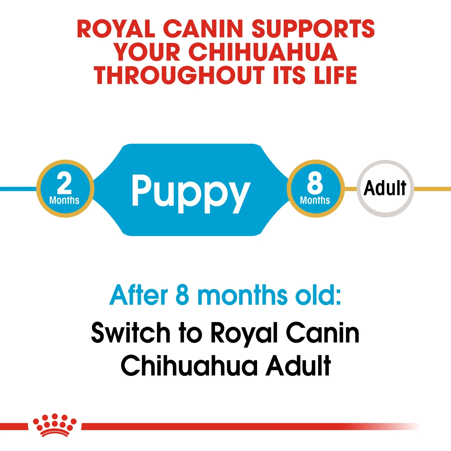 Royal Canin Puppy Chihuahua Dry Dog Food - 1.5kg By Royal Canin 3 Royal Canin Puppy Chihuahua Dry Dog Food - 1.5kg By Royal Canin - Image 3