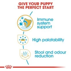 Royal Canin Puppy Chihuahua Dry Dog Food - 1.5kg By Royal Canin 13 Royal Canin Puppy Chihuahua Dry Dog Food - 1.5kg By Royal Canin -Pattes Douces Store Royal Canin Chihuahua Puppy Dry Dog Food 1 5kg 4