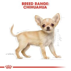 Royal Canin Puppy Chihuahua Dry Dog Food - 1.5kg By Royal Canin 14 Royal Canin Puppy Chihuahua Dry Dog Food - 1.5kg By Royal Canin -Pattes Douces Store Royal Canin Chihuahua Puppy Dry Dog Food 1 5kg 5