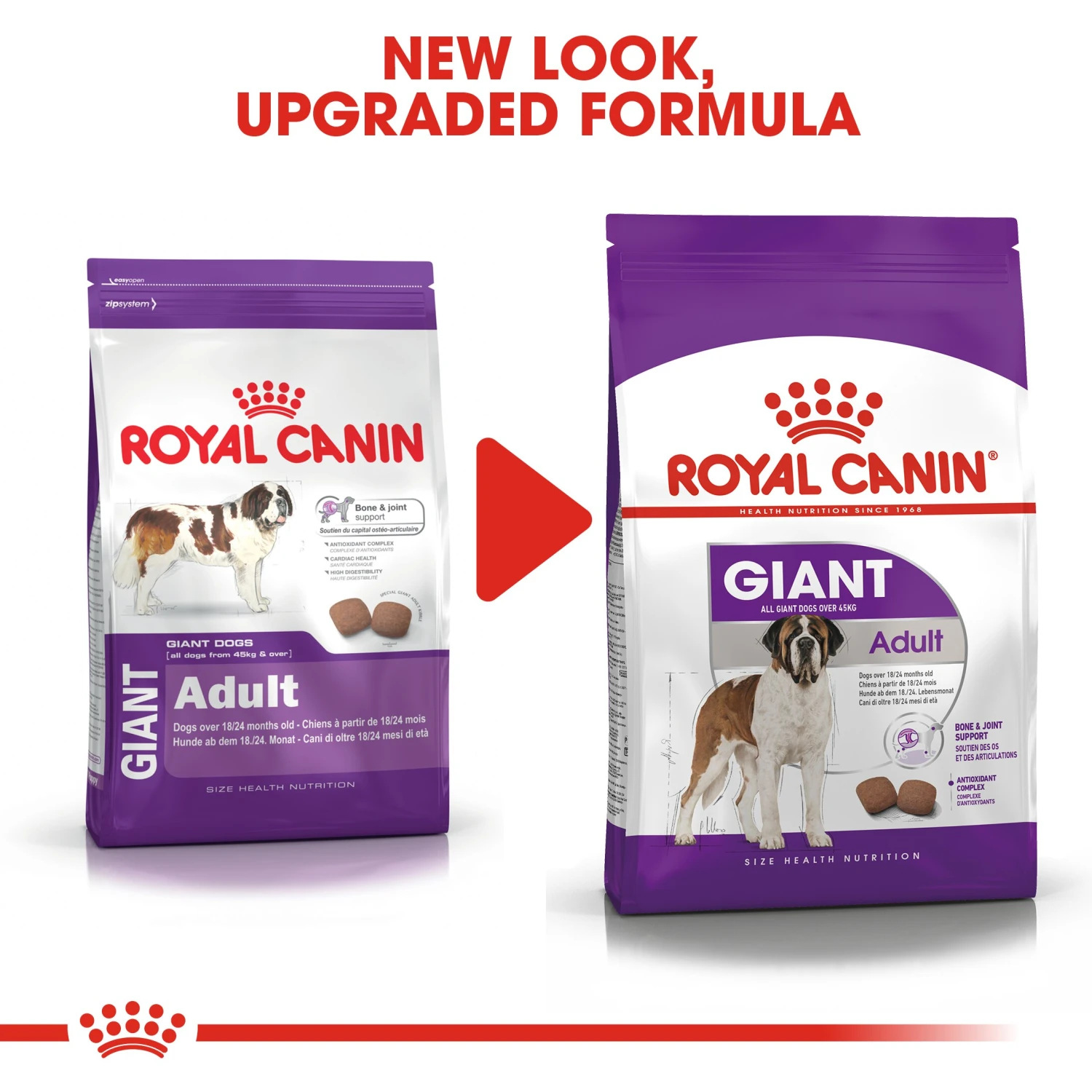 Royal Canin Giant Adult Dry Dog Food - 4kg By Royal Canin 2 Royal Canin Giant Adult Dry Dog Food - 4kg By Royal Canin - Image 2