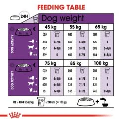 Royal Canin Giant Adult Dry Dog Food - 4kg By Royal Canin 11 Royal Canin Giant Adult Dry Dog Food - 4kg By Royal Canin -Pattes Douces Store Royal Canin Giant Adult Dry Dog Food 4kg 4
