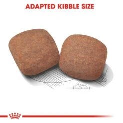 Royal Canin Giant Adult Dry Dog Food - 4kg By Royal Canin 12 Royal Canin Giant Adult Dry Dog Food - 4kg By Royal Canin -Pattes Douces Store Royal Canin Giant Adult Dry Dog Food 4kg 5
