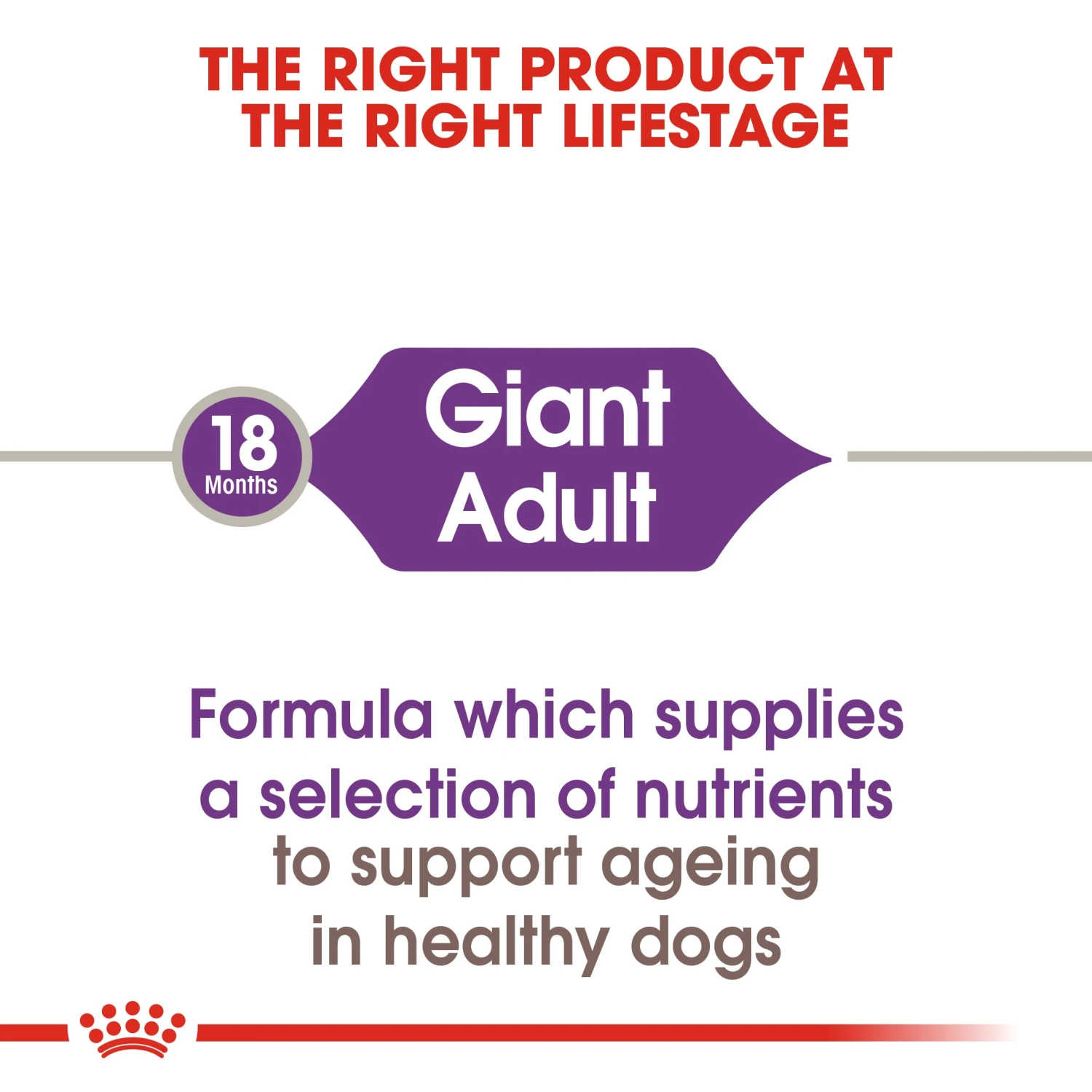 Royal Canin Giant Adult Dry Dog Food - 4kg By Royal Canin 7 Royal Canin Giant Adult Dry Dog Food - 4kg By Royal Canin - Image 7