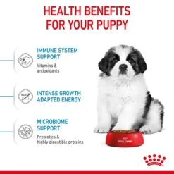 Royal Canin Giant Puppy Dry Dog Food - 15kg By Royal Canin 12 Royal Canin Giant Puppy Dry Dog Food - 15kg By Royal Canin -Pattes Douces Store Royal Canin Giant Puppy Dry Dog Food 15kg 5