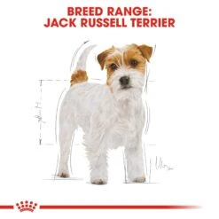 Royal Canin Adult Jack Russell Terrier Dry Dog Food - 7.5kg By Royal Canin -Pattes Douces Store Royal Canin Jack Russell Dry Dog Food 7 5kg 2