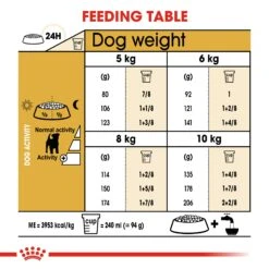 Royal Canin Adult Jack Russell Terrier Dry Dog Food - 7.5kg By Royal Canin -Pattes Douces Store Royal Canin Jack Russell Dry Dog Food 7 5kg 6