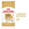 Royal Canin Labrador Retriever Adult 5+ Dry Dog Food - 12kg By Royal Canin