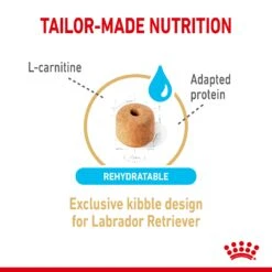 Royal Canin Labrador Retriever Adult 5+ Dry Dog Food - 12kg By Royal Canin -Pattes Douces Store Royal Canin Labrador Retriever Adult 5 Dry Dog Food 12kg 4