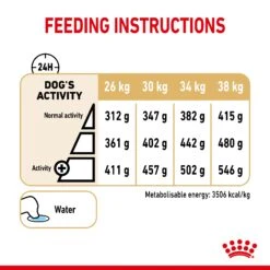 Royal Canin Labrador Retriever Adult 5+ Dry Dog Food - 12kg By Royal Canin -Pattes Douces Store Royal Canin Labrador Retriever Adult 5 Dry Dog Food 12kg 6