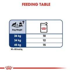 Royal Canin Maxi Adult Wet Dog Food In Gravy - 10 X 140g By Royal Canin 13 Royal Canin Maxi Adult Wet Dog Food In Gravy - 10 X 140g By Royal Canin -Pattes Douces Store Royal Canin Maxi Adult Wet Dog Food in Gravy 10 x 140g 4
