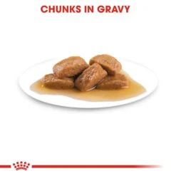 Royal Canin Maxi Adult Wet Dog Food In Gravy - 10 X 140g By Royal Canin 14 Royal Canin Maxi Adult Wet Dog Food In Gravy - 10 X 140g By Royal Canin -Pattes Douces Store Royal Canin Maxi Adult Wet Dog Food in Gravy 10 x 140g 5
