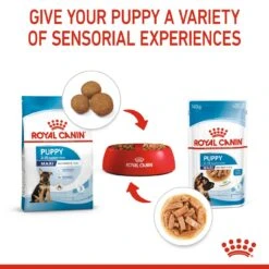Royal Canin Maxi Puppy Wet Dog Food In Gravy - 10 X 140g By Royal Canin -Pattes Douces Store Royal Canin Maxi Puppy Wet Dog Food in Gravy 10 x 140g 6