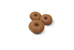 Royal Canin Maxi Starter Mother & Baby Adult & Puppy Dog Food - 15kg By Royal Canin -Pattes Douces Store Royal Canin Maxi Starter Mother Baby Dog 15kg 3