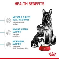 Royal Canin Maxi Starter Mother & Baby Adult & Puppy Dog Food - 15kg By Royal Canin -Pattes Douces Store Royal Canin Maxi Starter Mother Baby Dog 15kg 6