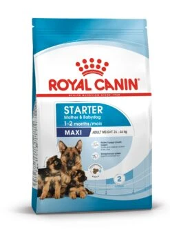 Royal Canin Maxi Starter Mother And Babydog Adult & Puppy Dog Food - 4kg By Royal Canin -Pattes Douces Store Royal Canin Maxi Starter Mother Baby Dog 4kg 4