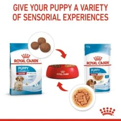 Royal Canin Medium Puppy Wet Dog Food In Gravy - 10 X 140g By Royal Canin -Pattes Douces Store Royal Canin Medium Puppy Wet Dog Food in Gravy 10x 140g 6