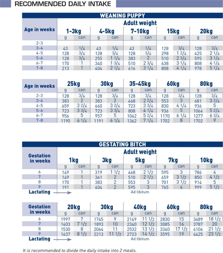 Royal Canin Veterinary Diet Pediatric Mousse Starter Wet Dog Food 12 X 195g By Royal Canin Veterinary Diet 3 Royal Canin Veterinary Diet Pediatric Mousse Starter Wet Dog Food 12 X 195g By Royal Canin Veterinary Diet - Image 3