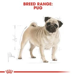 Royal Canin Pug Dry Adult Dog Food - 1.5kg By Royal Canin -Pattes Douces Store Royal Canin Pug Dry Dog Food 1 5kg 2
