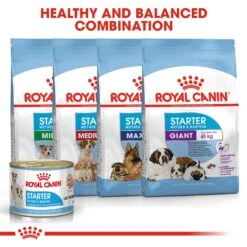 Royal Canin Starter Mousse Mother And Babydog Dog Food - 12 X 195g By Royal Canin -Pattes Douces Store Royal Canin Starter Mousse Mother and Baby Dog Food 12 x 195g 2