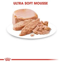 Royal Canin Starter Mousse Mother And Babydog Dog Food - 12 X 195g By Royal Canin -Pattes Douces Store Royal Canin Starter Mousse Mother and Baby Dog Food 12 x 195g 6