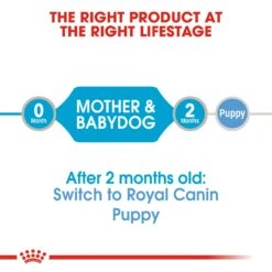 Royal Canin Starter Mousse Mother And Babydog Dog Food - 12 X 195g By Royal Canin -Pattes Douces Store Royal Canin Starter Mousse Mother and Baby Dog Food 12 x 195g 8