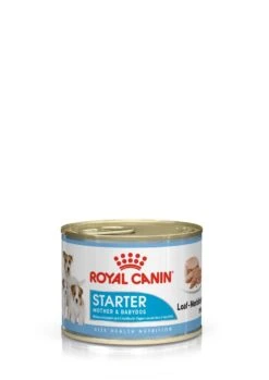 Royal Canin Starter Mousse Mother And Babydog Dog Food - 12 X 195g By Royal Canin -Pattes Douces Store Royal Canin Starter Mousse Mother and Baby Dog Food 12 x 195g 99