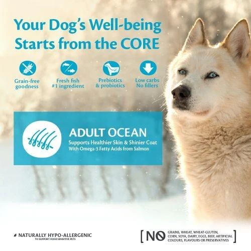 Wellness Core Ocean Salmon & Tuna Adult Dry Dog Food - 10kg By Wellness Core 3 Wellness Core Ocean Salmon & Tuna Adult Dry Dog Food - 10kg By Wellness Core - Image 3